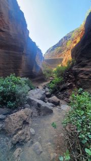 2022-02-GranCan-Barranco_Las_Vacas-PM-NN-19.jpg